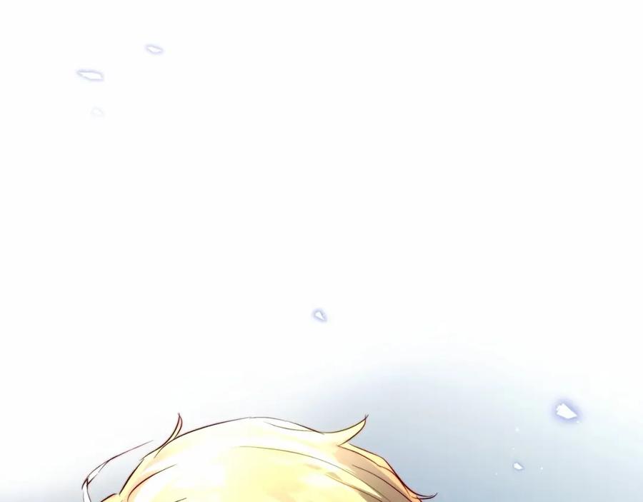 第215页