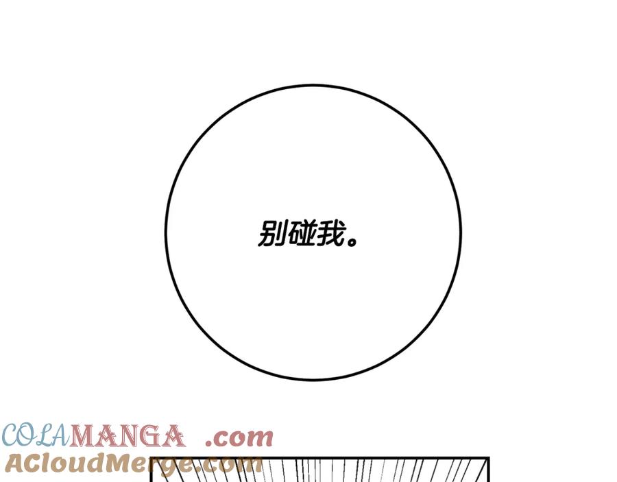 第221页