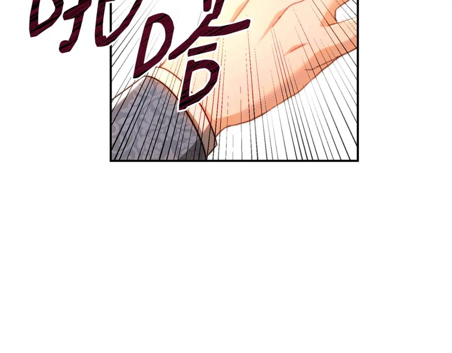 第223页