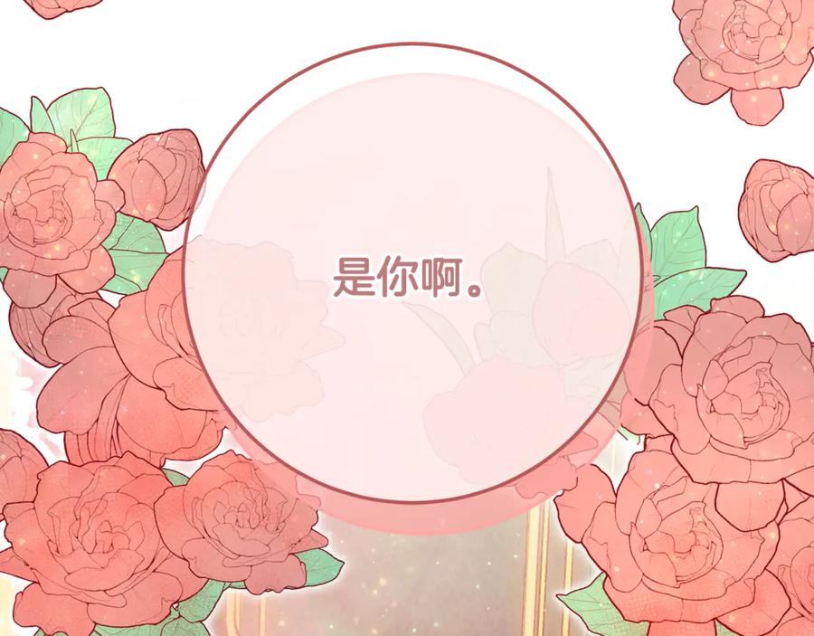 第227页