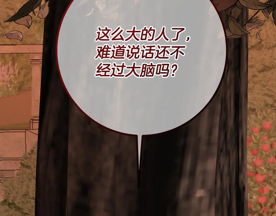 第223页