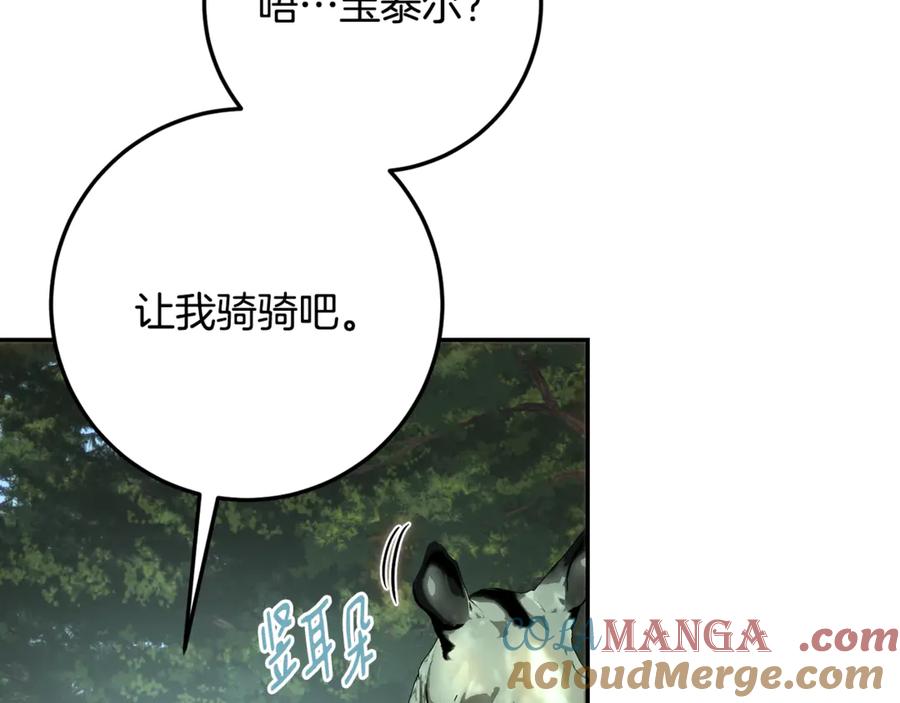 第213页