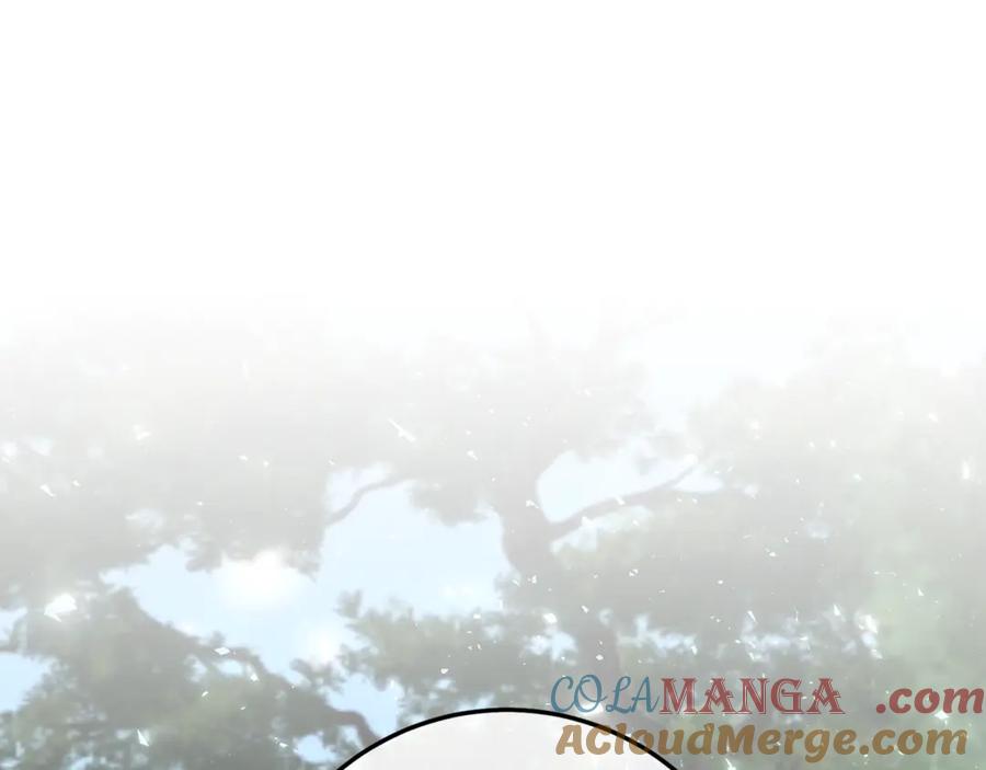第221页