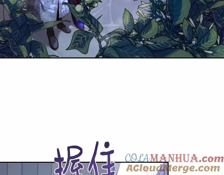 第205页