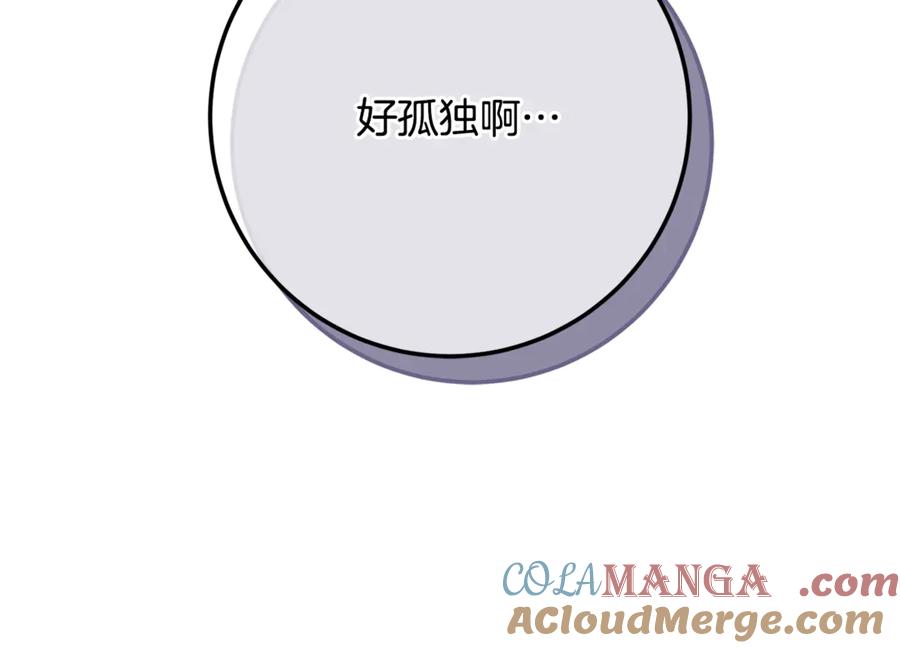 第221页