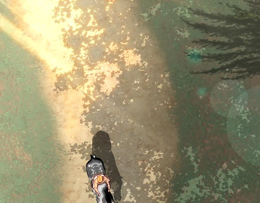 第64页