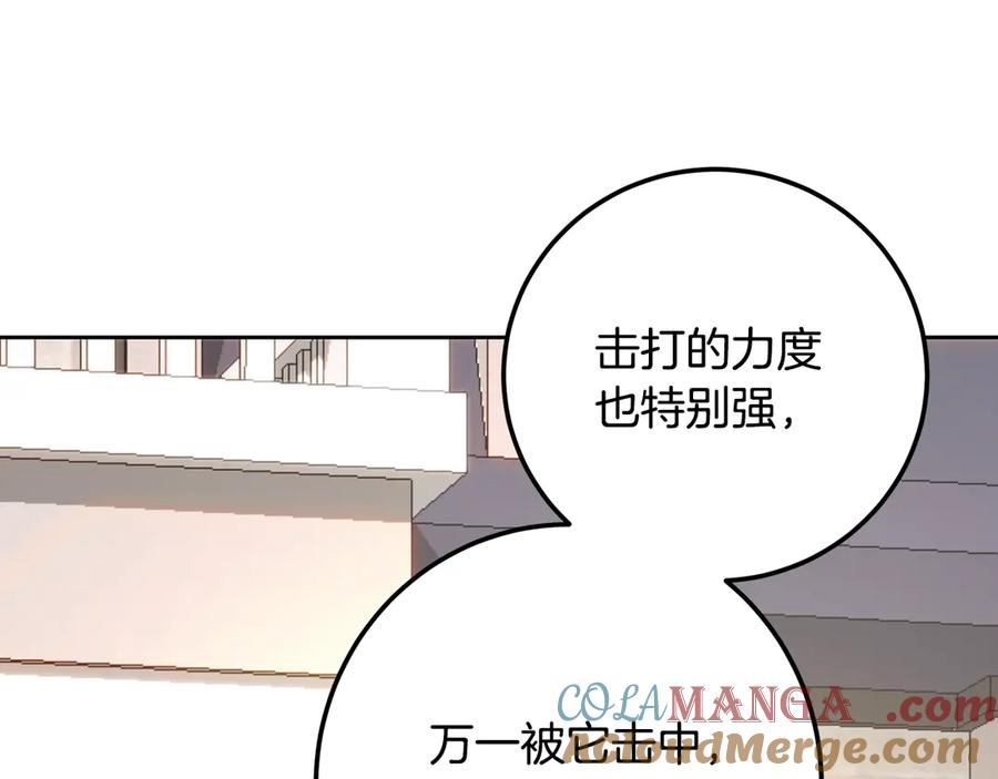 第205页