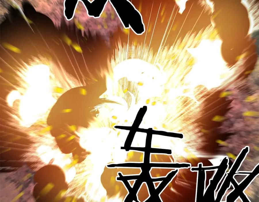 第204页