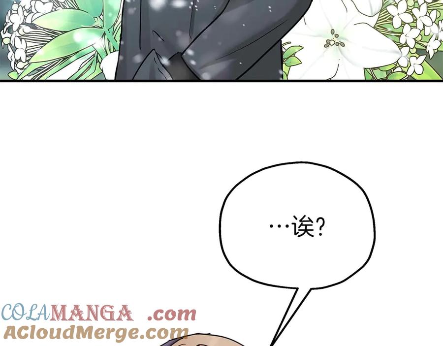第233页