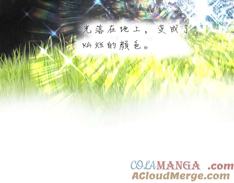 第237页