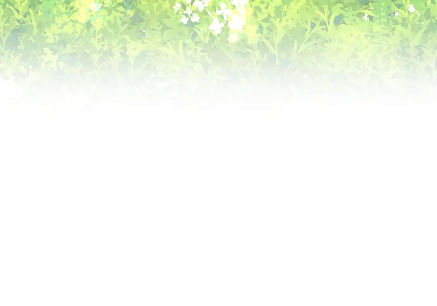 第242页