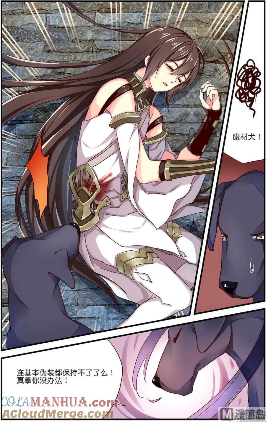 第5页