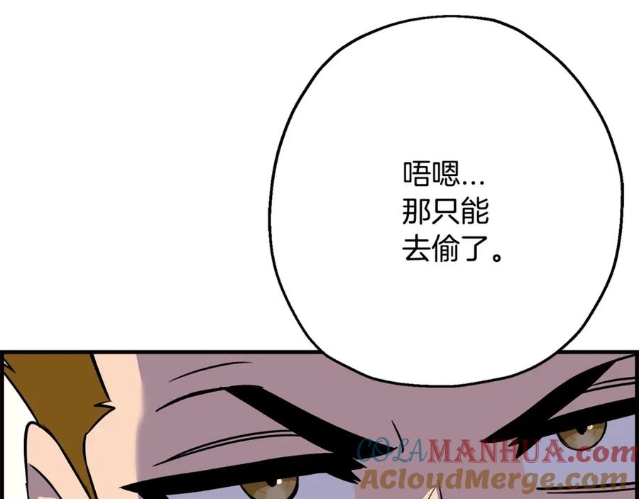 第213页