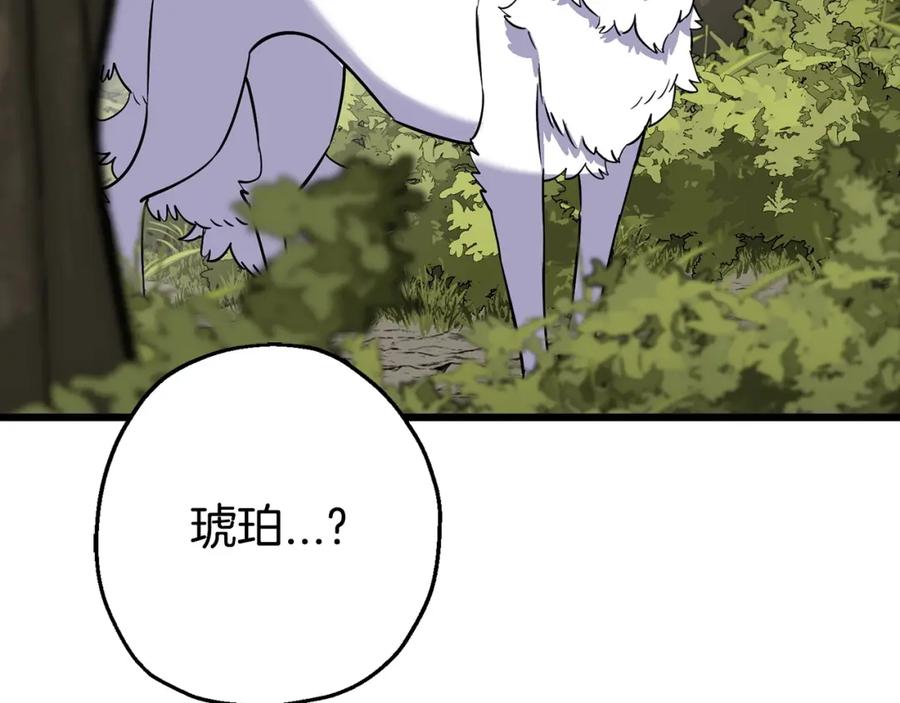 第228页