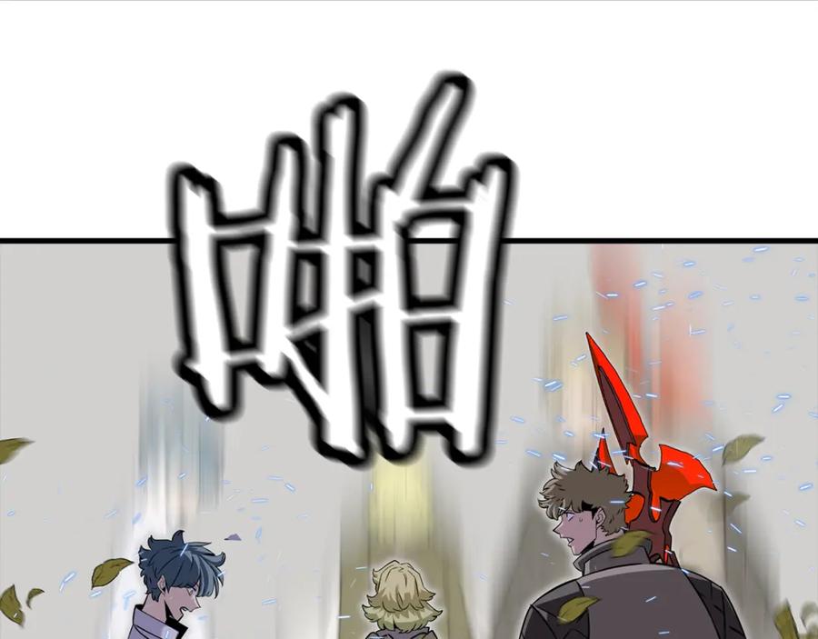 第204页