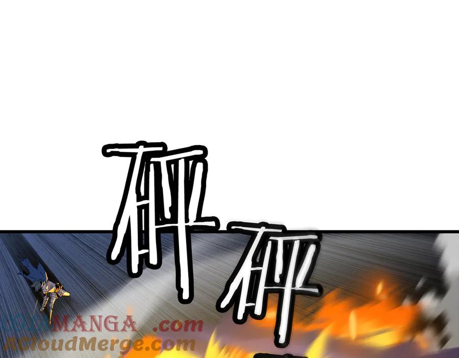 第217页