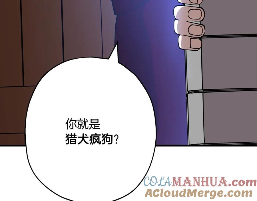 第205页