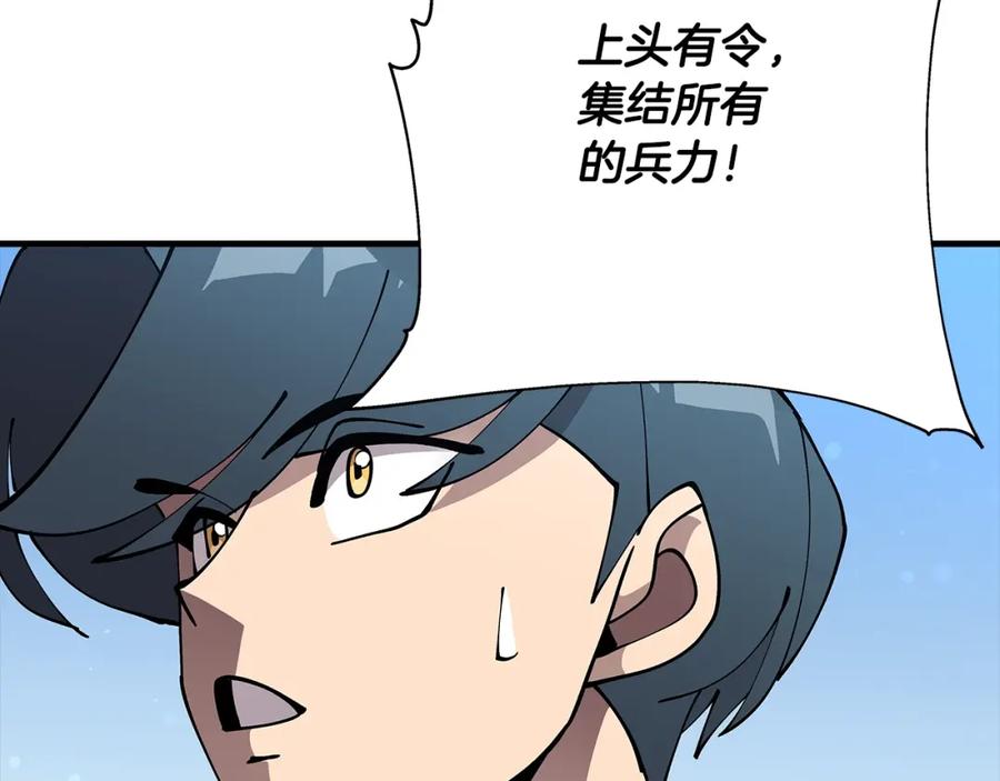 第204页