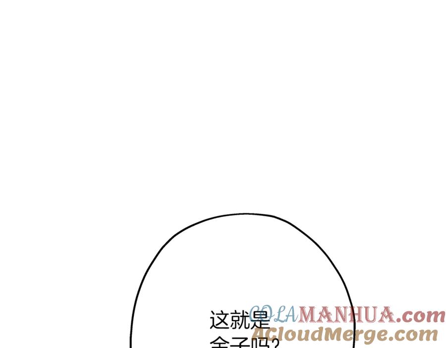第213页