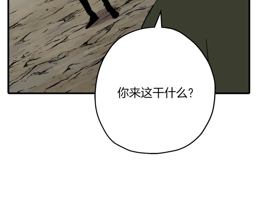 第239页