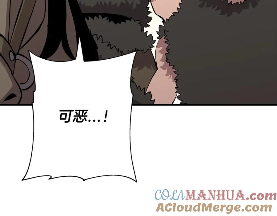 第205页