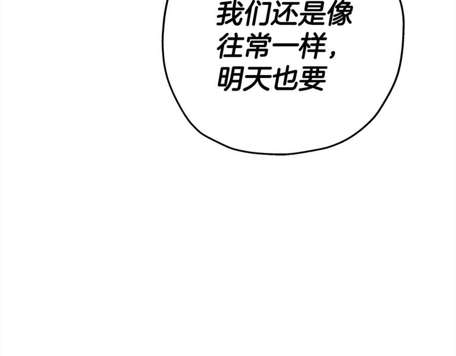 第224页
