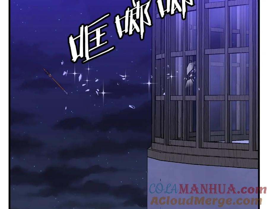 第217页