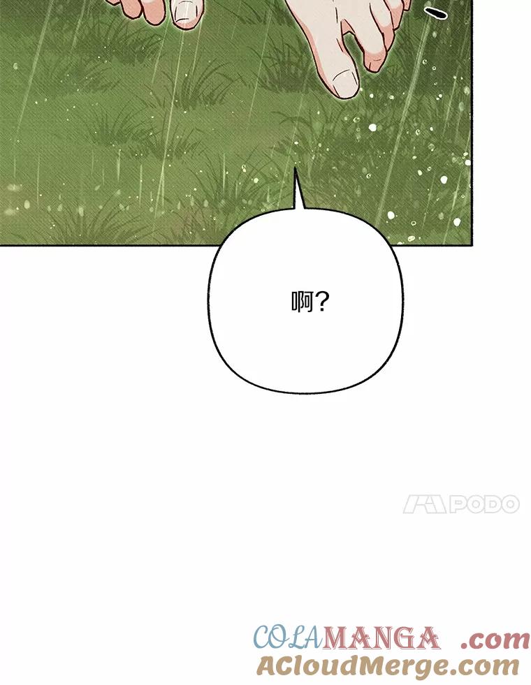 第255页