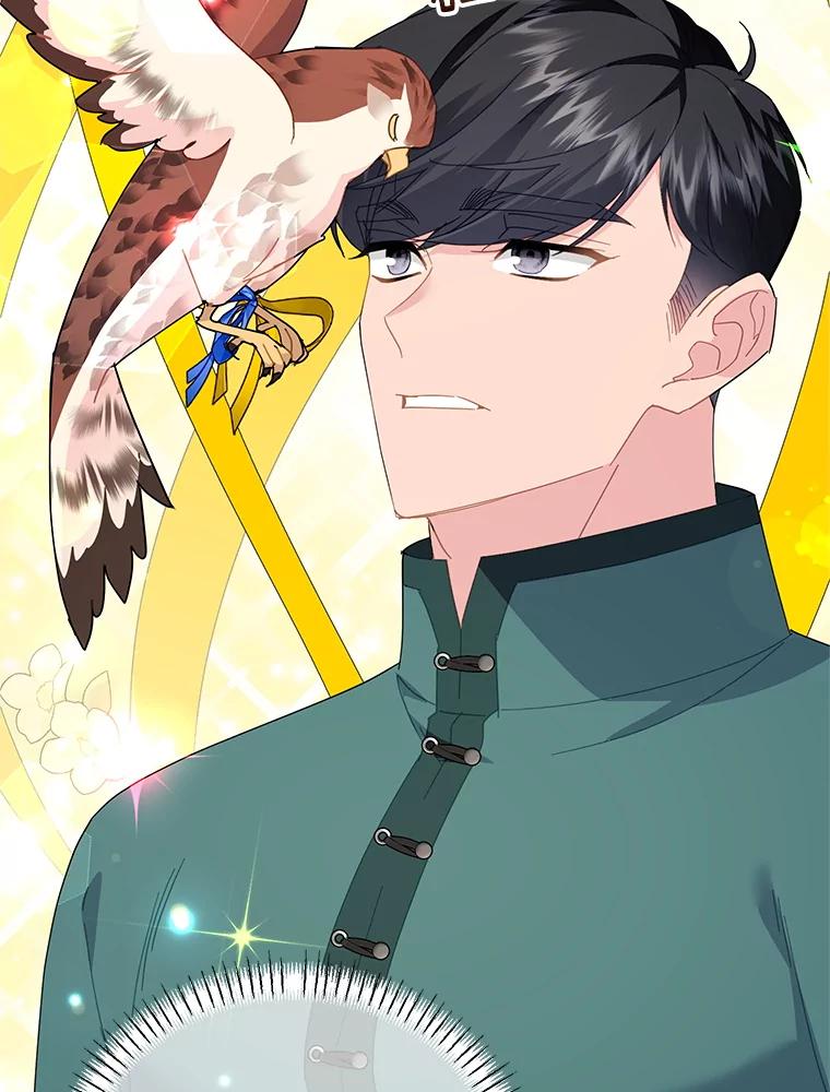 第335页