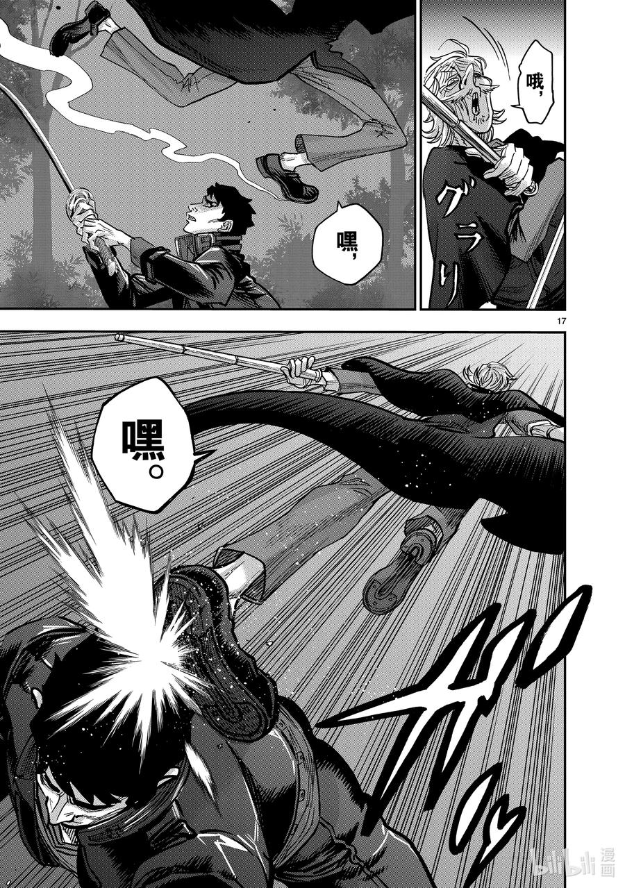 第17页