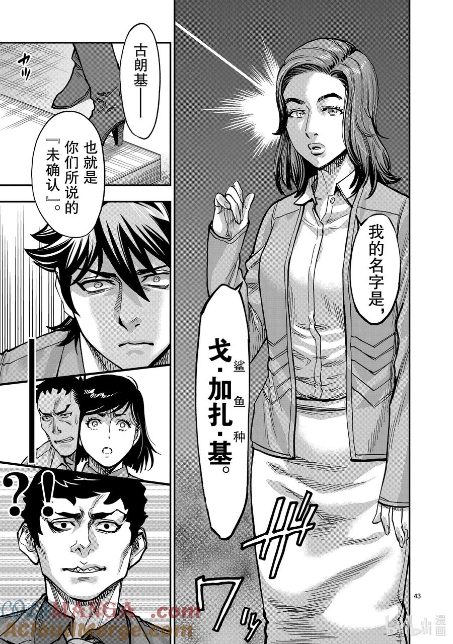 第43页