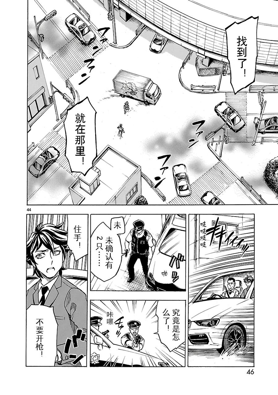 第47页