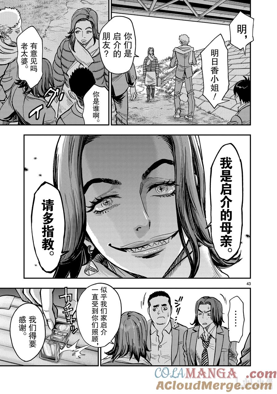 第43页