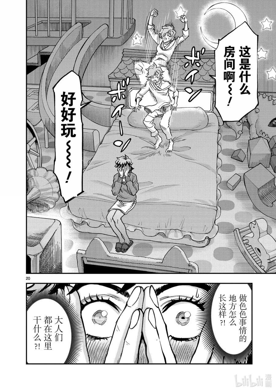 第20页