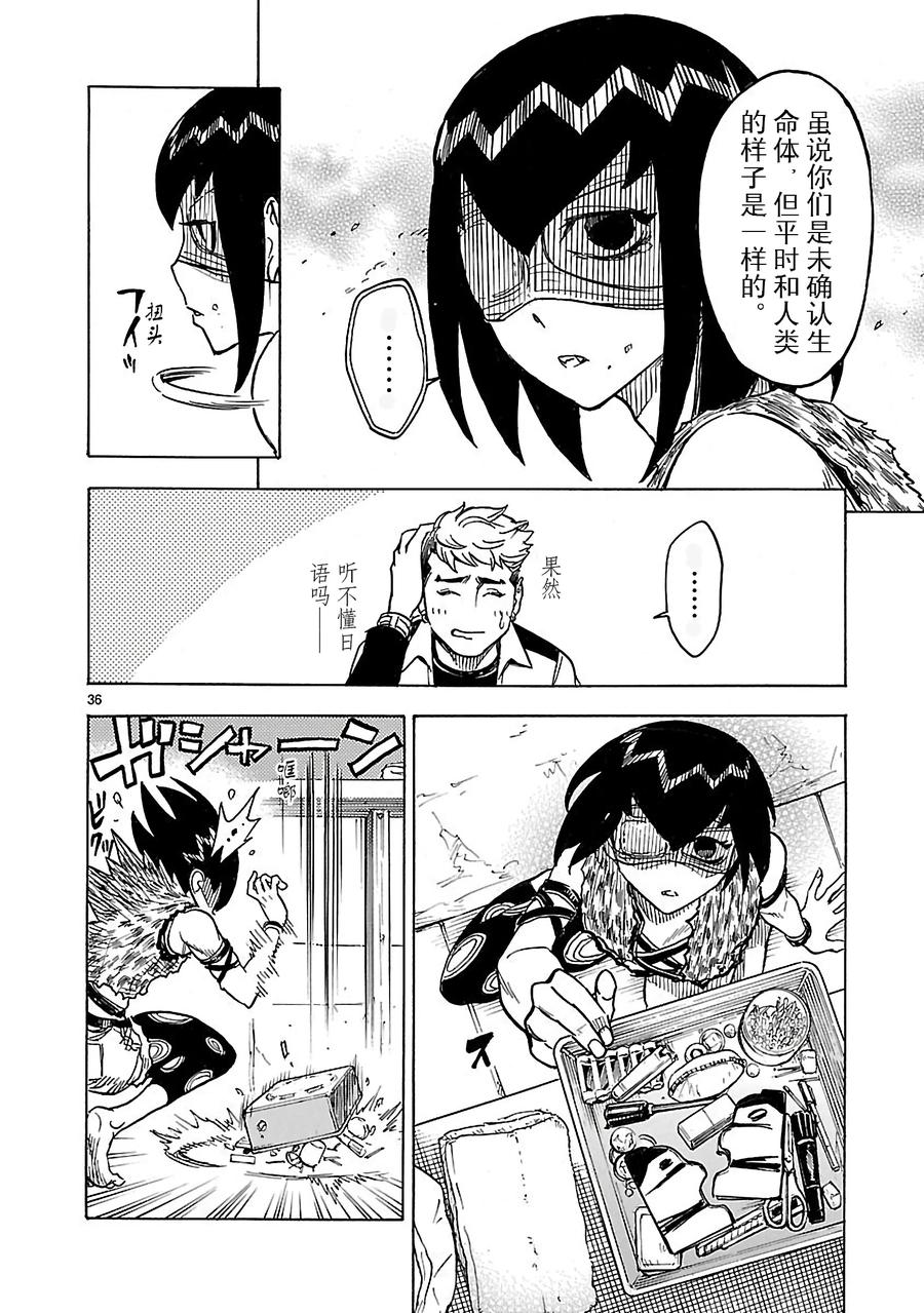 第36页