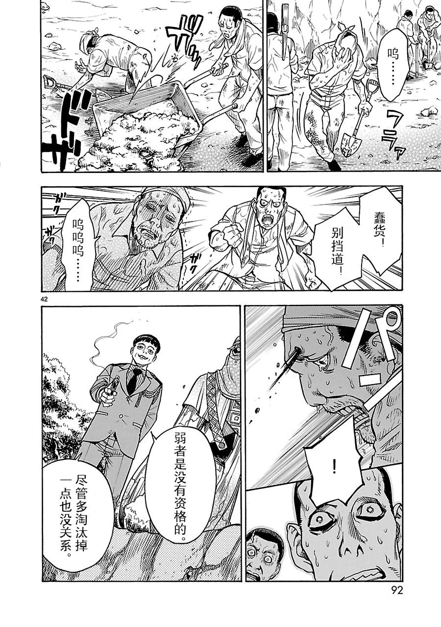 第42页