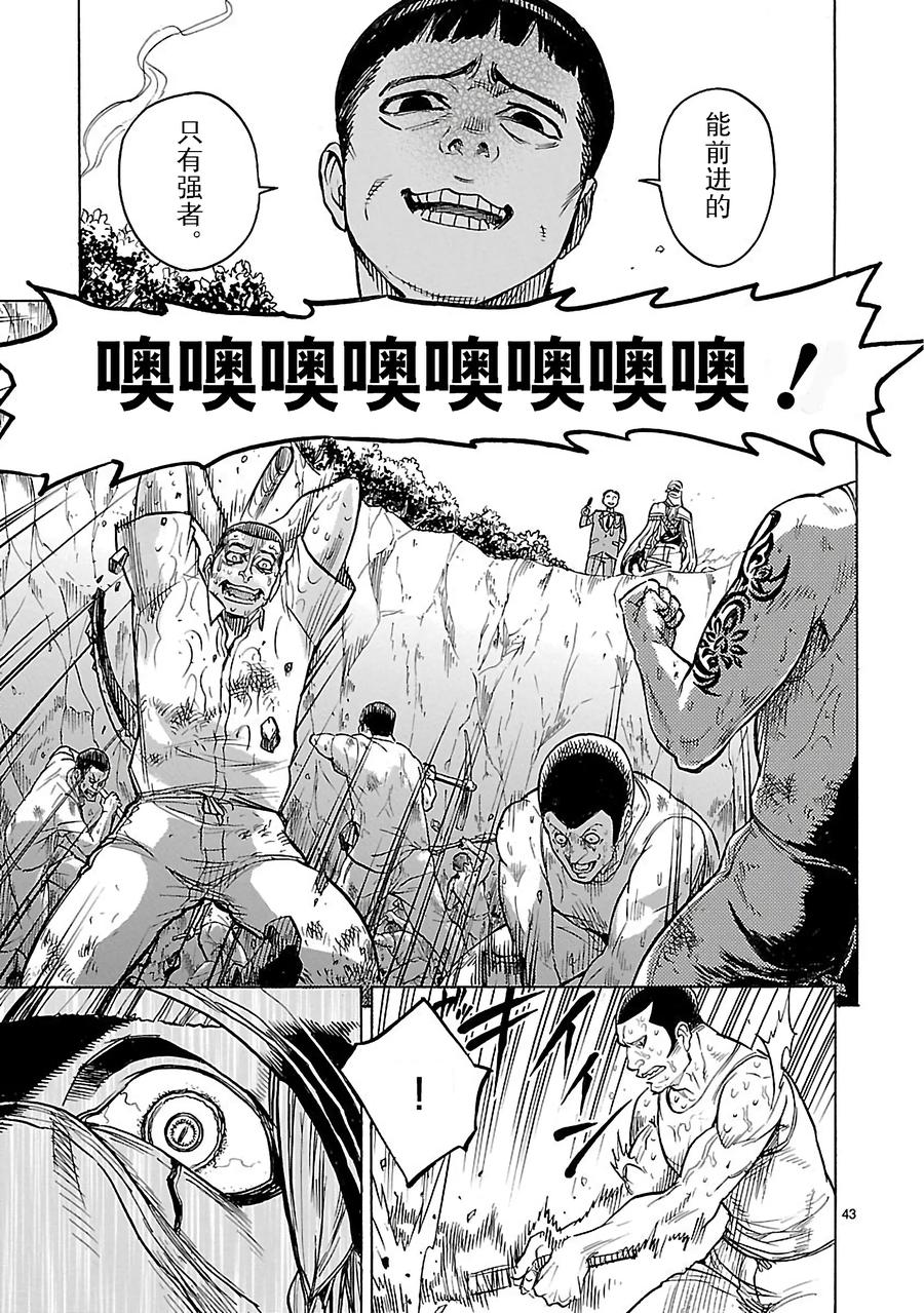 第43页