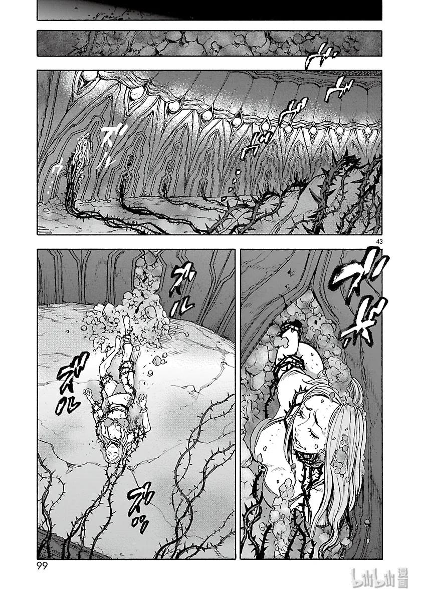 第43页