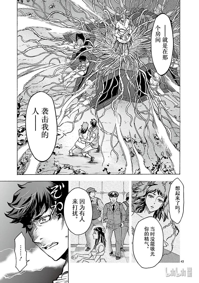 第43页
