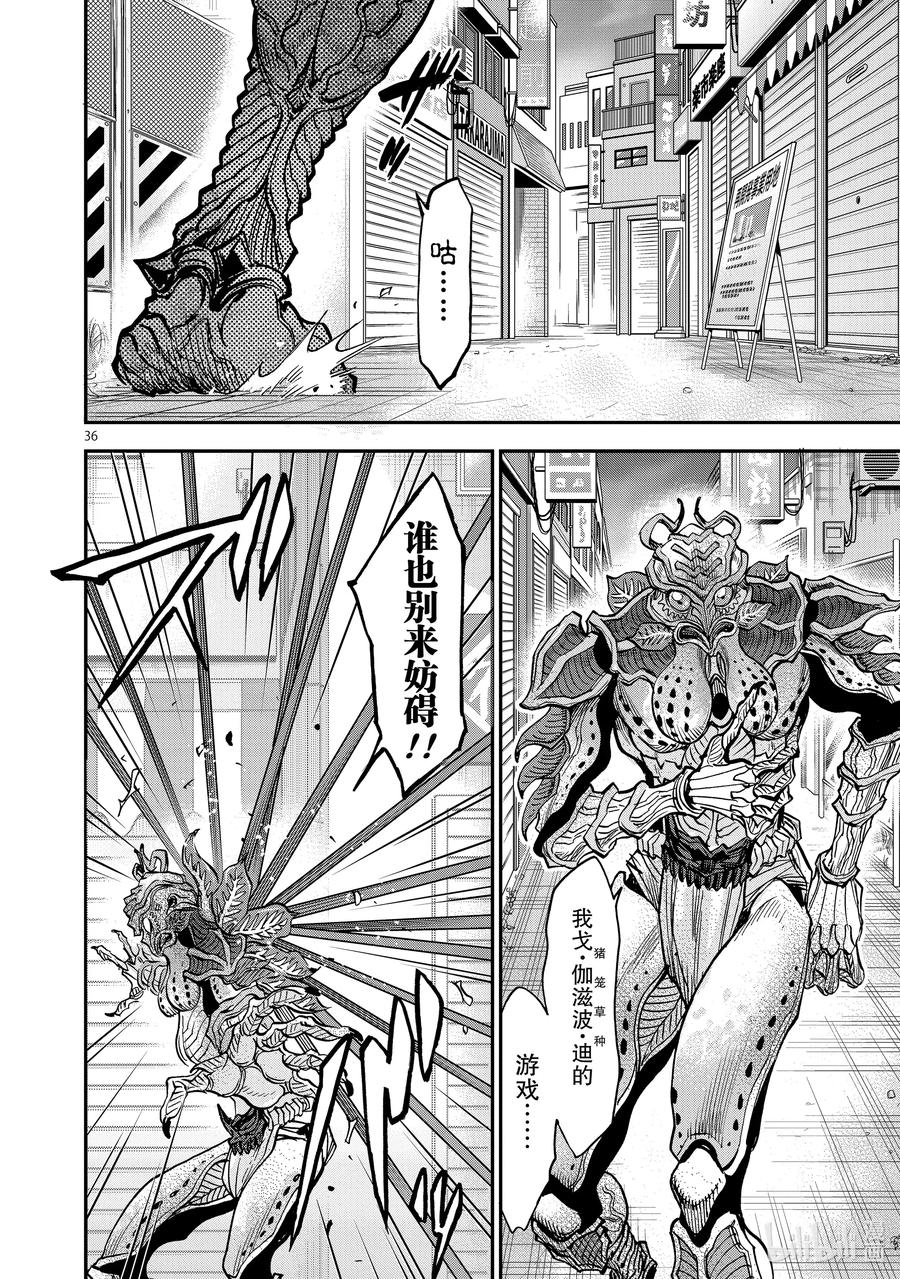 第36页