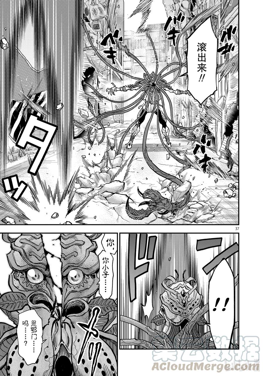 第37页