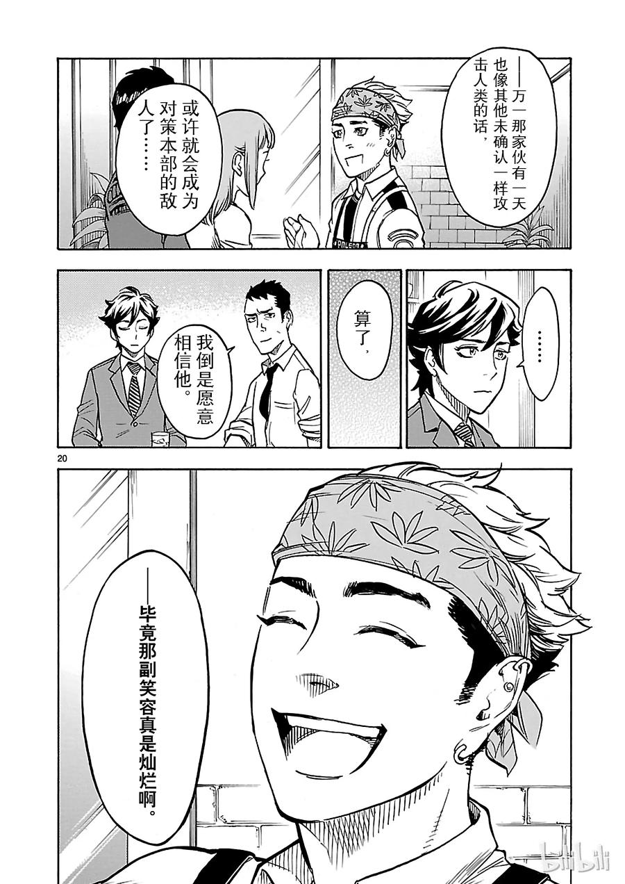 第20页