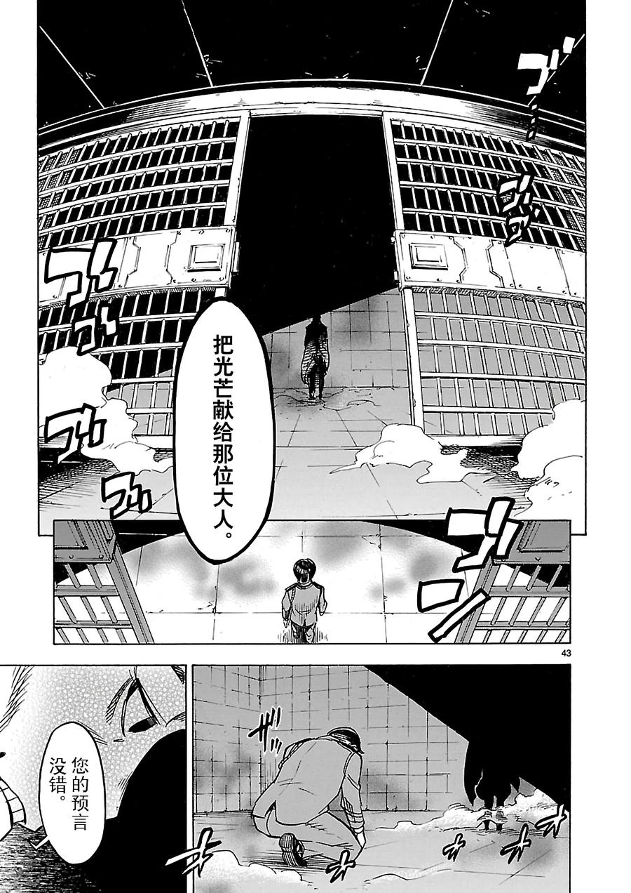 第43页