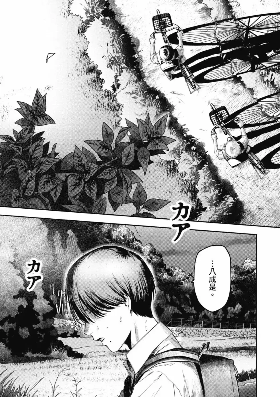 第50页