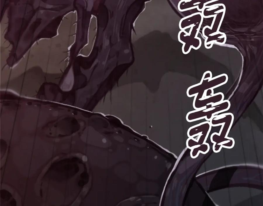 第242页