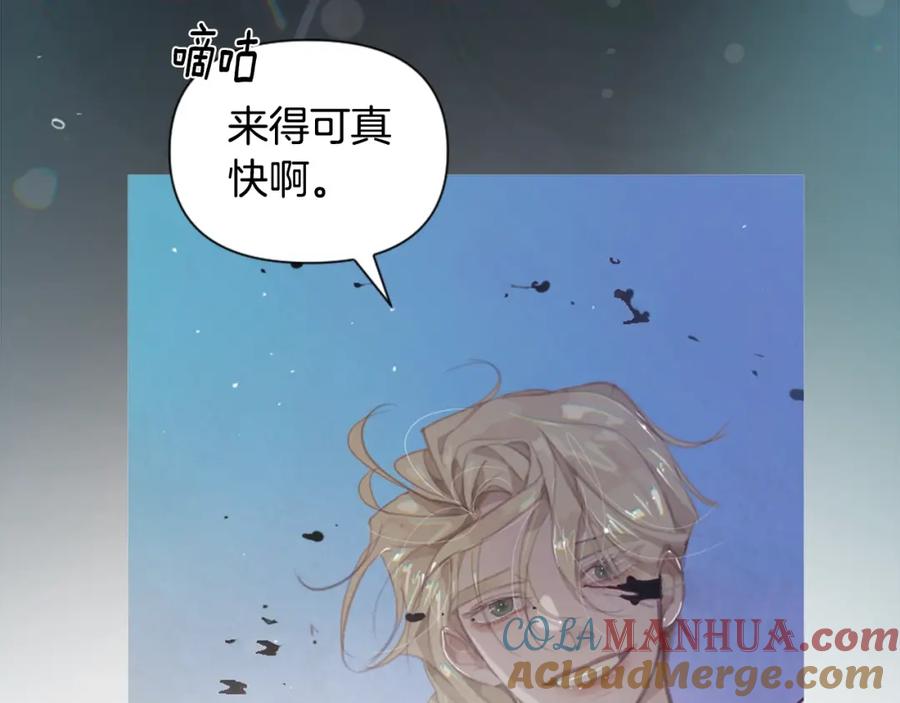 第229页