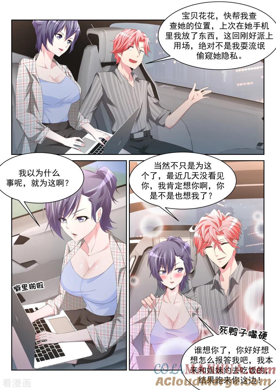 第3页