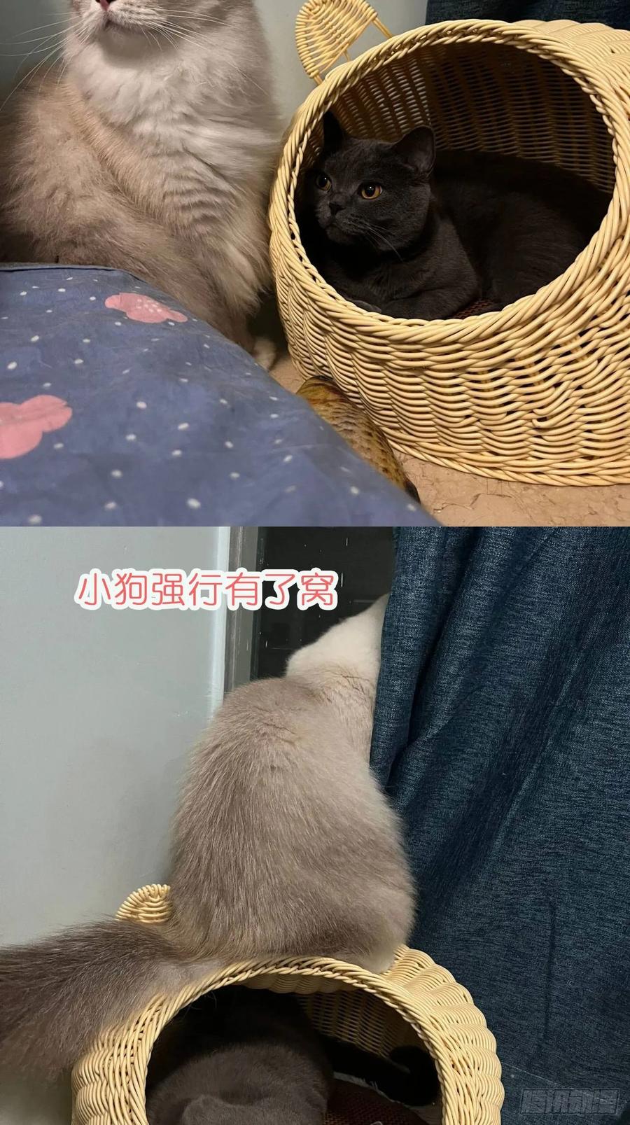 第53页