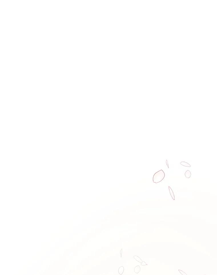 第300页