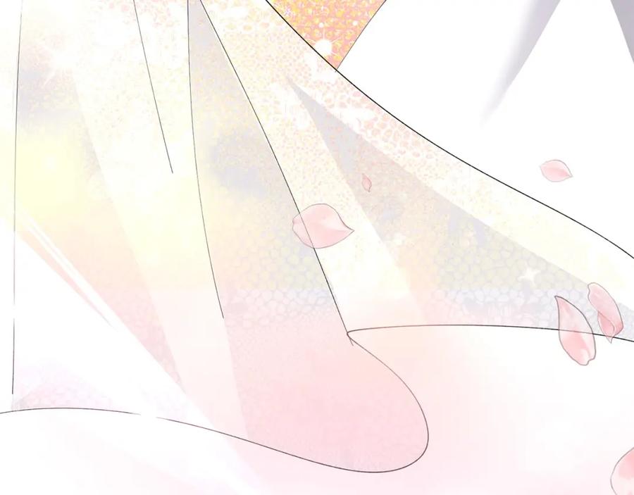 第223页